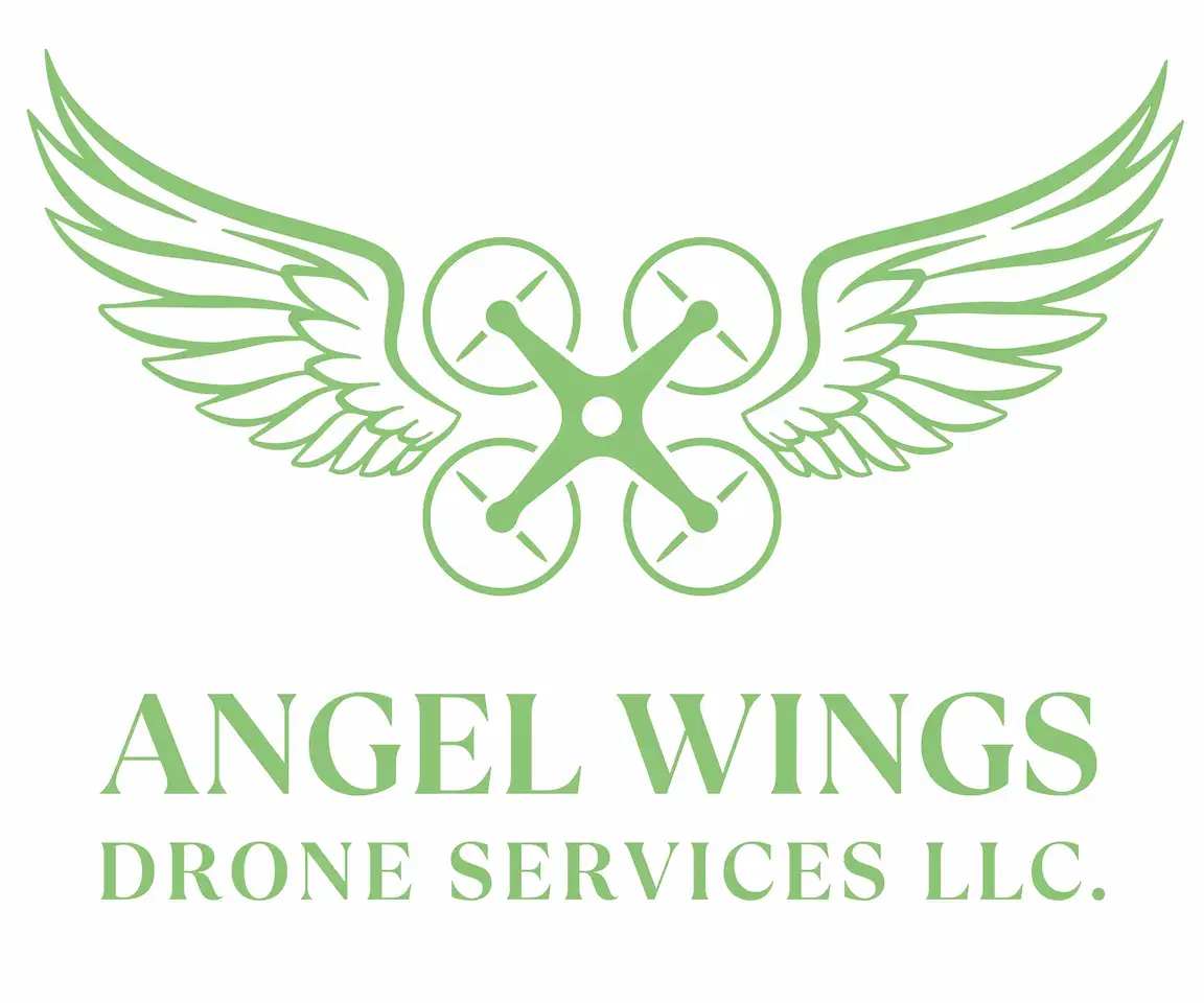 Angel Wings Drone Services LLC logo